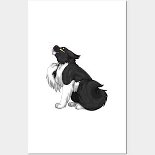 Tuxedo Bicolor Longhair Posters and Art